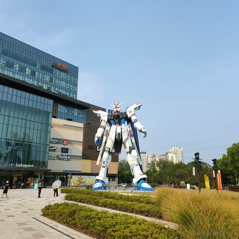 蒋瑞于2022-11-13 08:12发布的图片