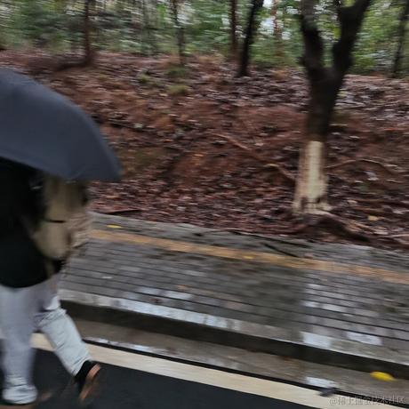 夜幕向晚走去于2022-11-16 08:03发布的图片