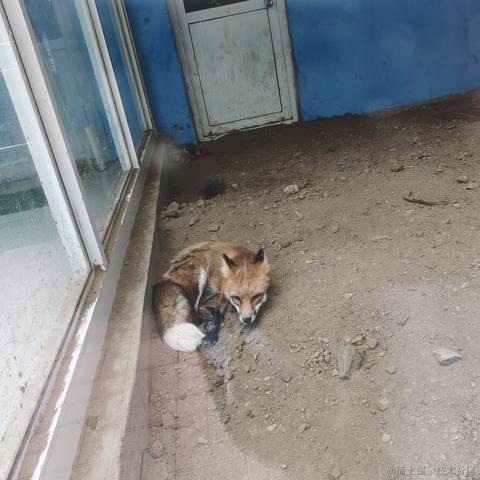 琳琳琳于2022-11-22 20:44发布的图片