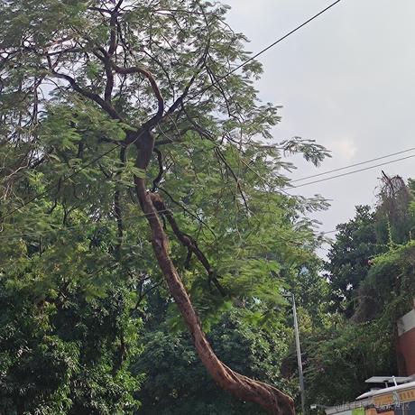 相赫大魔王于2022-11-23 13:46发布的图片