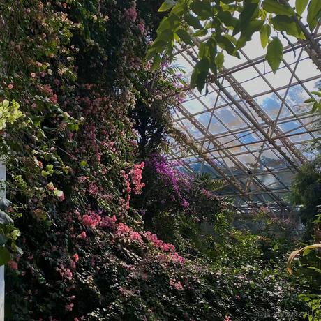 掘金齐天大圣于2023-05-25 16:08发布的图片