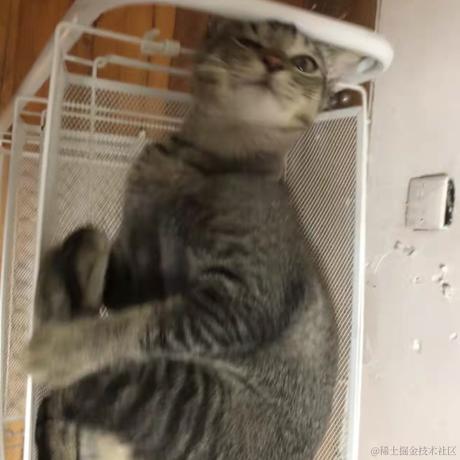 xinlus于2021-10-27 18:03发布的图片