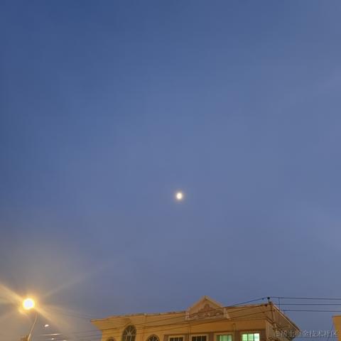 早濑真爱于2022-12-01 18:07发布的图片