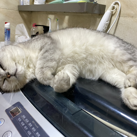 夜果子于2023-05-12 15:40发布的图片