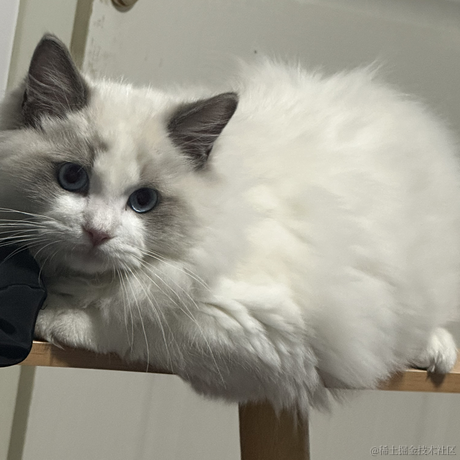 浪迹A于2022-11-26 11:55发布的图片