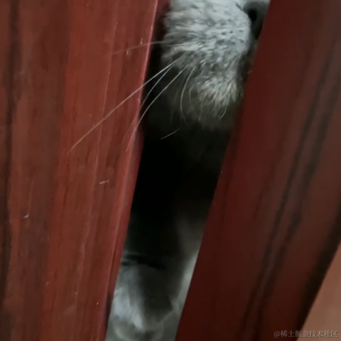 我是个靓崽于2023-05-10 21:11发布的图片