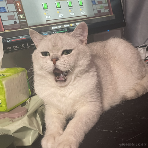 喵怼怼于2023-05-22 09:23发布的图片