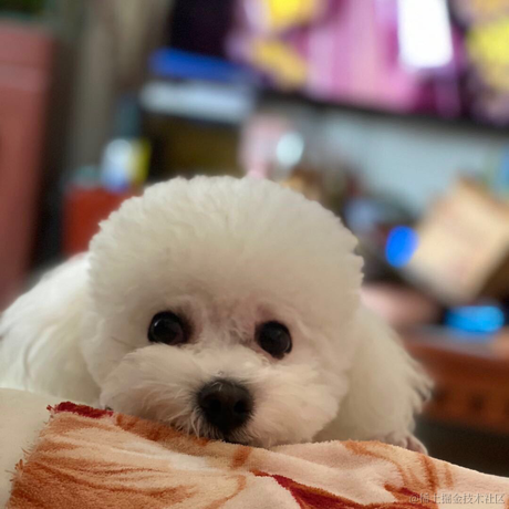 总师于2020-11-30 18:26发布的图片