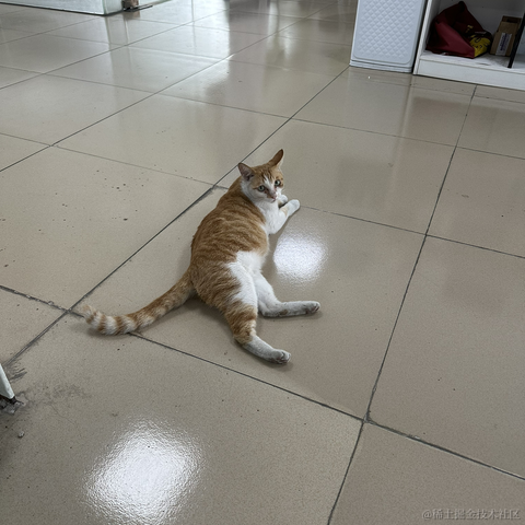 472772于2023-02-28 14:21发布的图片