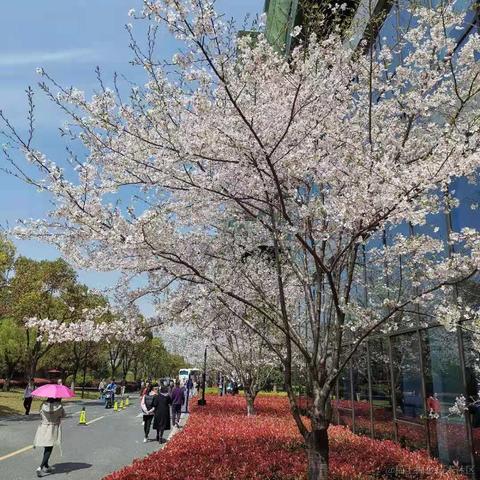 已注销于2021-03-25 17:41发布的图片