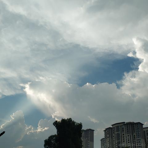 摸鱼的春哥于2021-12-20 10:34发布的图片