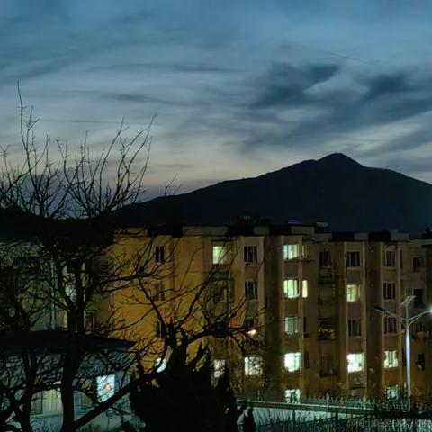 福二娃于2022-11-24 12:57发布的图片