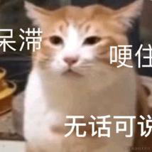 暖阳耀阳于2022-11-20 11:33发布的图片