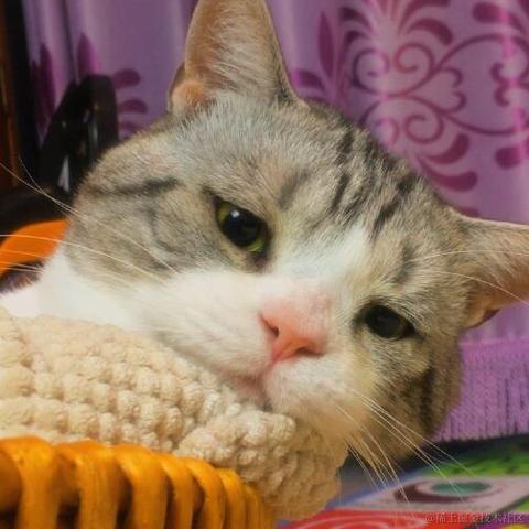 已注销于2021-04-21 09:34发布的图片