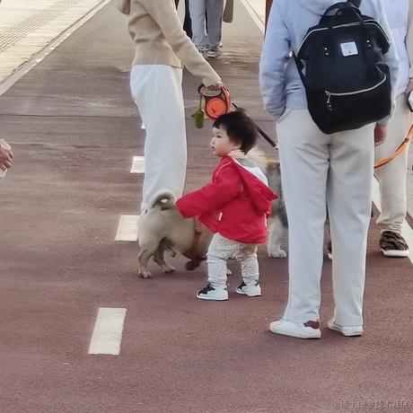 蓬蒿烂人于2022-11-26 09:30发布的图片