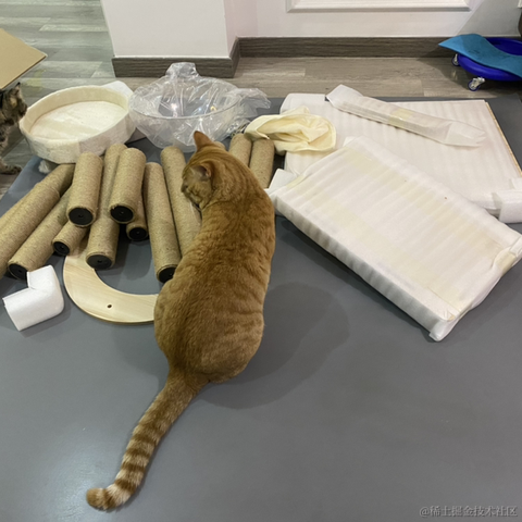 avavaava于2022-11-26 08:16发布的图片