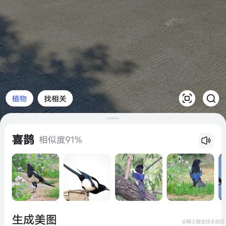 AvAliabowl于2022-11-10 11:55发布的图片