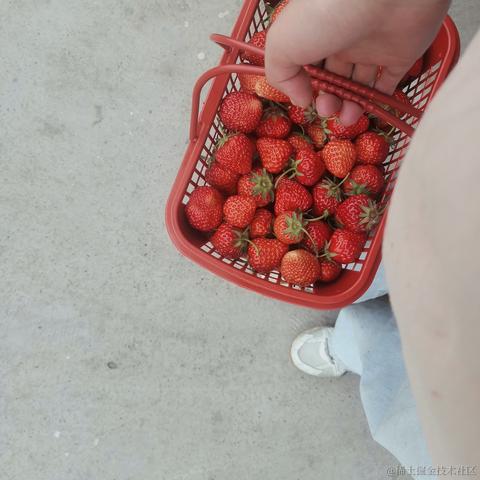 Dorri于2023-04-18 23:15发布的图片