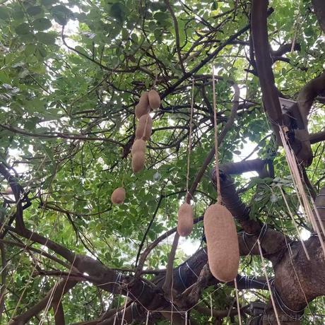 汽水味的小盆友于2022-11-22 11:42发布的图片