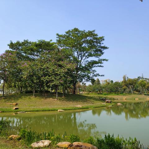 柒号华仔于2023-03-05 14:08发布的图片