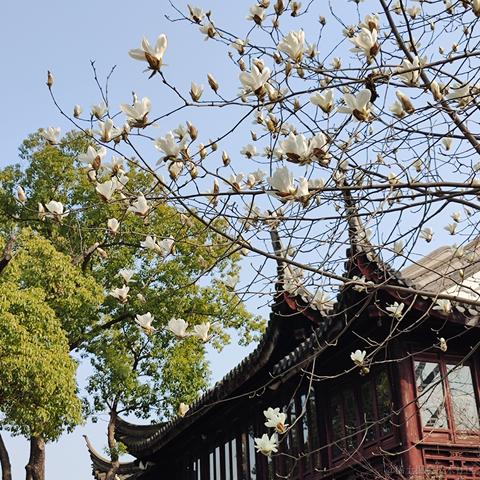 优秀稳妥的金枪小魔王于2023-03-06 09:51发布的图片