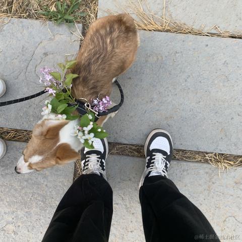 苏煜于2023-08-02 15:07发布的图片