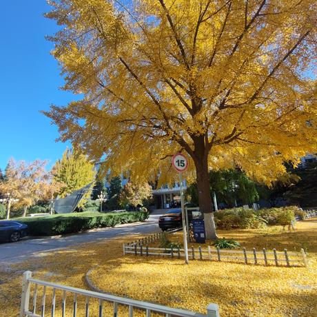 kizunahi于2022-12-07 13:03发布的图片