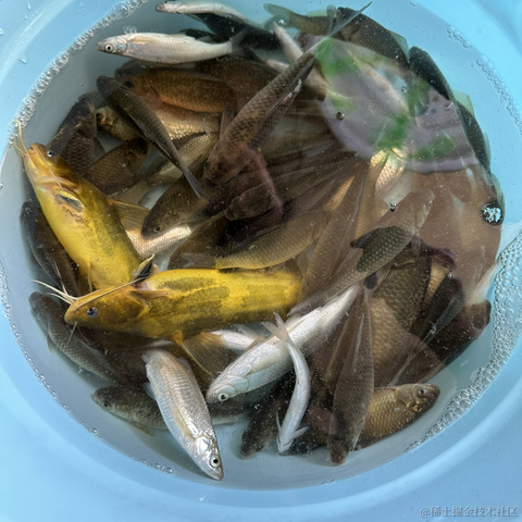 devhg于2023-05-03 21:15发布的图片