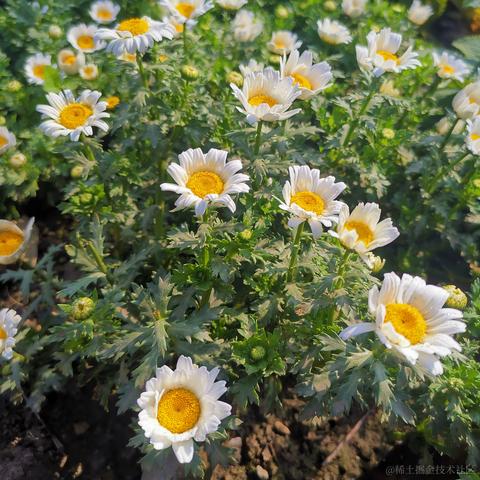 小小喵于2023-03-11 11:57发布的图片