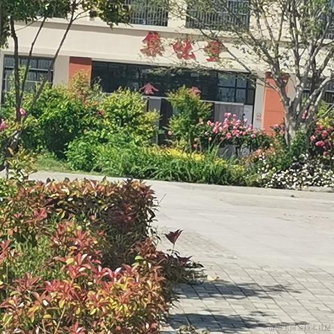 旺旺99于2023-05-13 10:39发布的图片