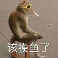 小王同志i于2023-11-24 10:47发布的图片