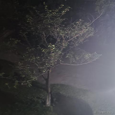 不飞则已一飞于2023-05-01 20:55发布的图片