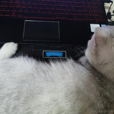 晚宝碗宝于2022-12-07 18:35发布的图片