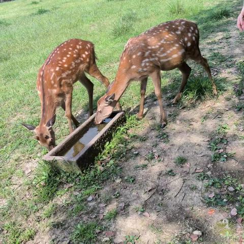 onetwo于2023-05-13 20:28发布的图片