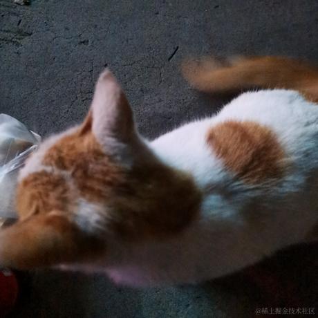 关注乃琳嘎关注乃琳谢谢嘎于2022-11-24 17:09发布的图片