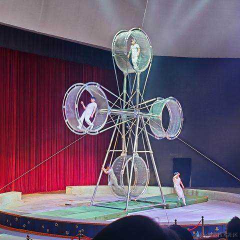 天星月于2024-06-11 10:12发布的图片