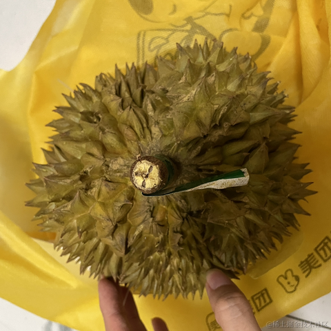 百年孤独html于2023-05-20 12:57发布的图片