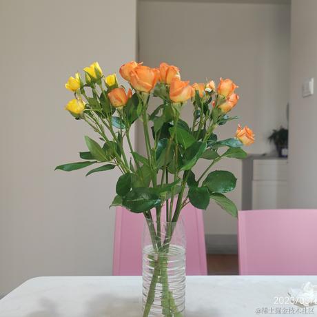 矮人三等于2023-05-21 09:51发布的图片