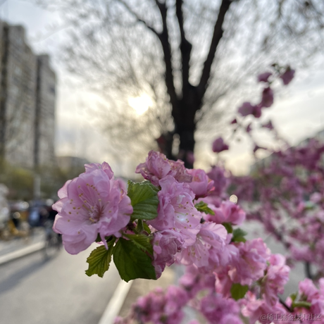 小鑫同学于2021-04-30 07:32发布的图片