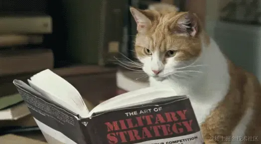 cat_strategy.gif