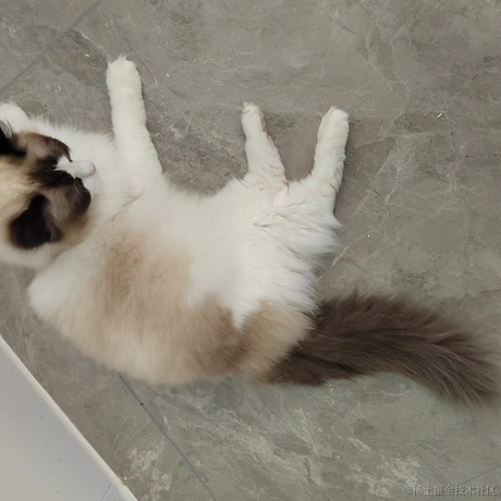 找不到我找不到我于2022-06-17 21:22发布的图片