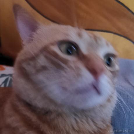 树洞robot于2024-06-12 10:31发布的图片