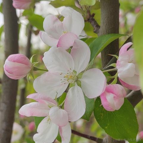 用户1008683613726于2023-04-27 20:43发布的图片