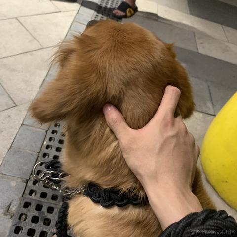 苏煜于2023-08-02 15:07发布的图片