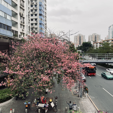 小zero于2023-01-20 13:01发布的图片