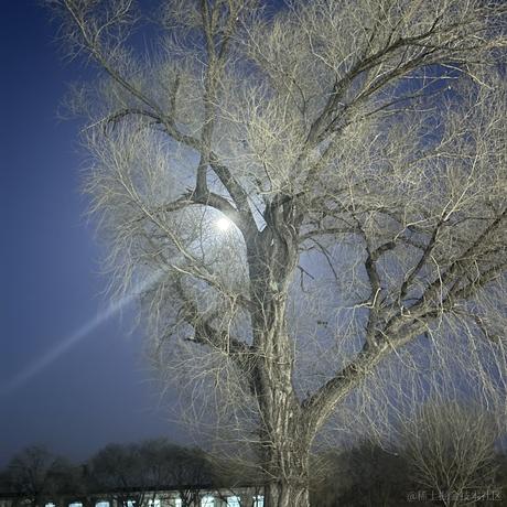 用户8559817276303于2023-04-01 23:20发布的图片