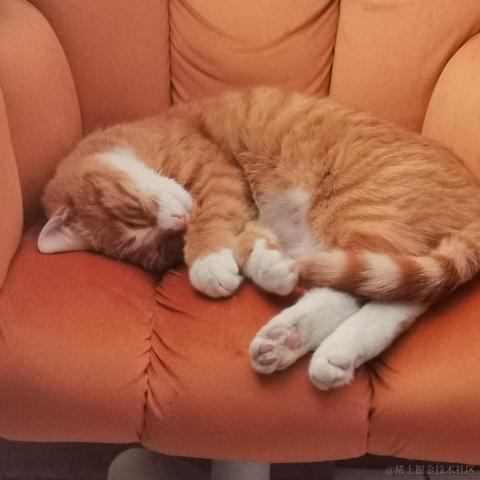 鲨脆脆脆于2023-05-28 15:22发布的图片