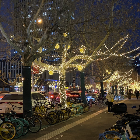 狗子君于2023-01-19 21:13发布的图片