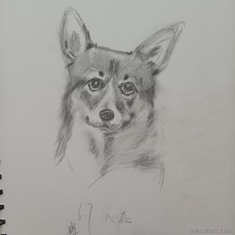 超牛programmer于2023-06-08 07:50发布的图片