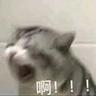 大力金刚葫芦娃兽于2023-08-09 09:14发布的图片